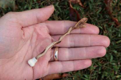 Black Walnut and Kitten Femur Offering Spoon