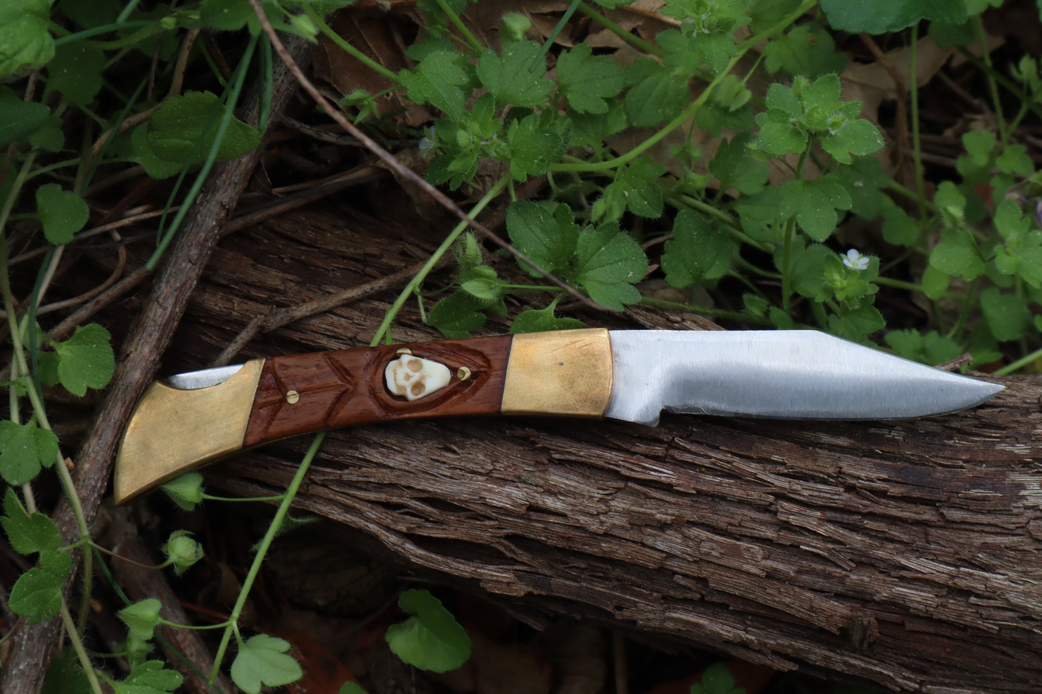 Chaos Monk Folding Knife