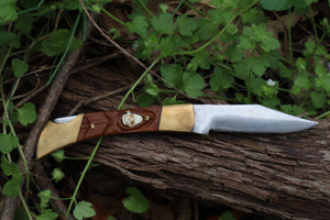 Chaos Monk Folding Knife