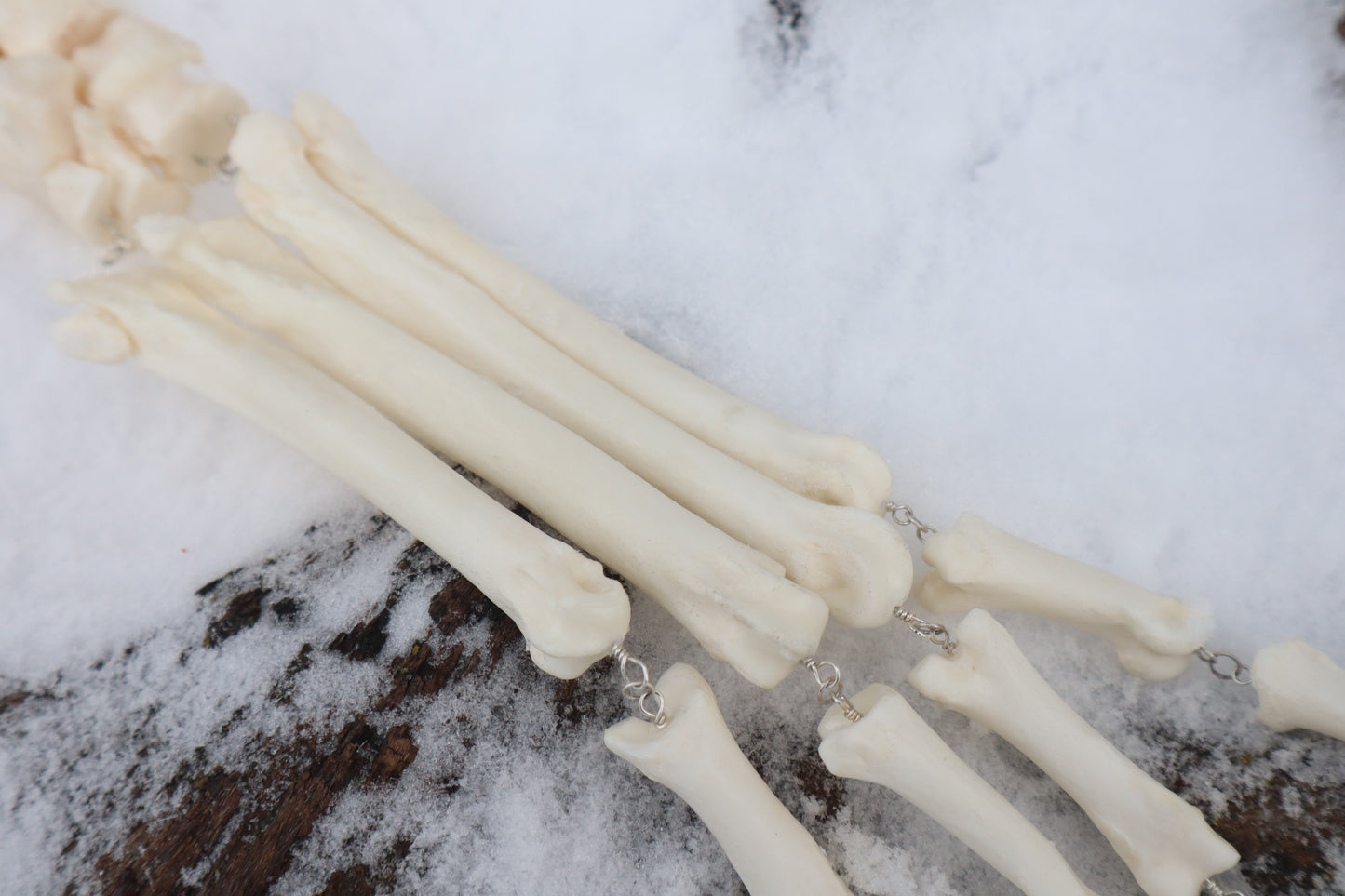 Fluid Wolf Paw Articulation with Chocolate Moonstone "Claws"