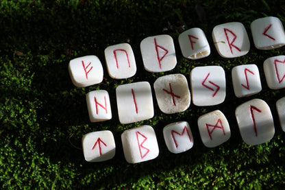 Deer Rib Elder Futhark Rune Set