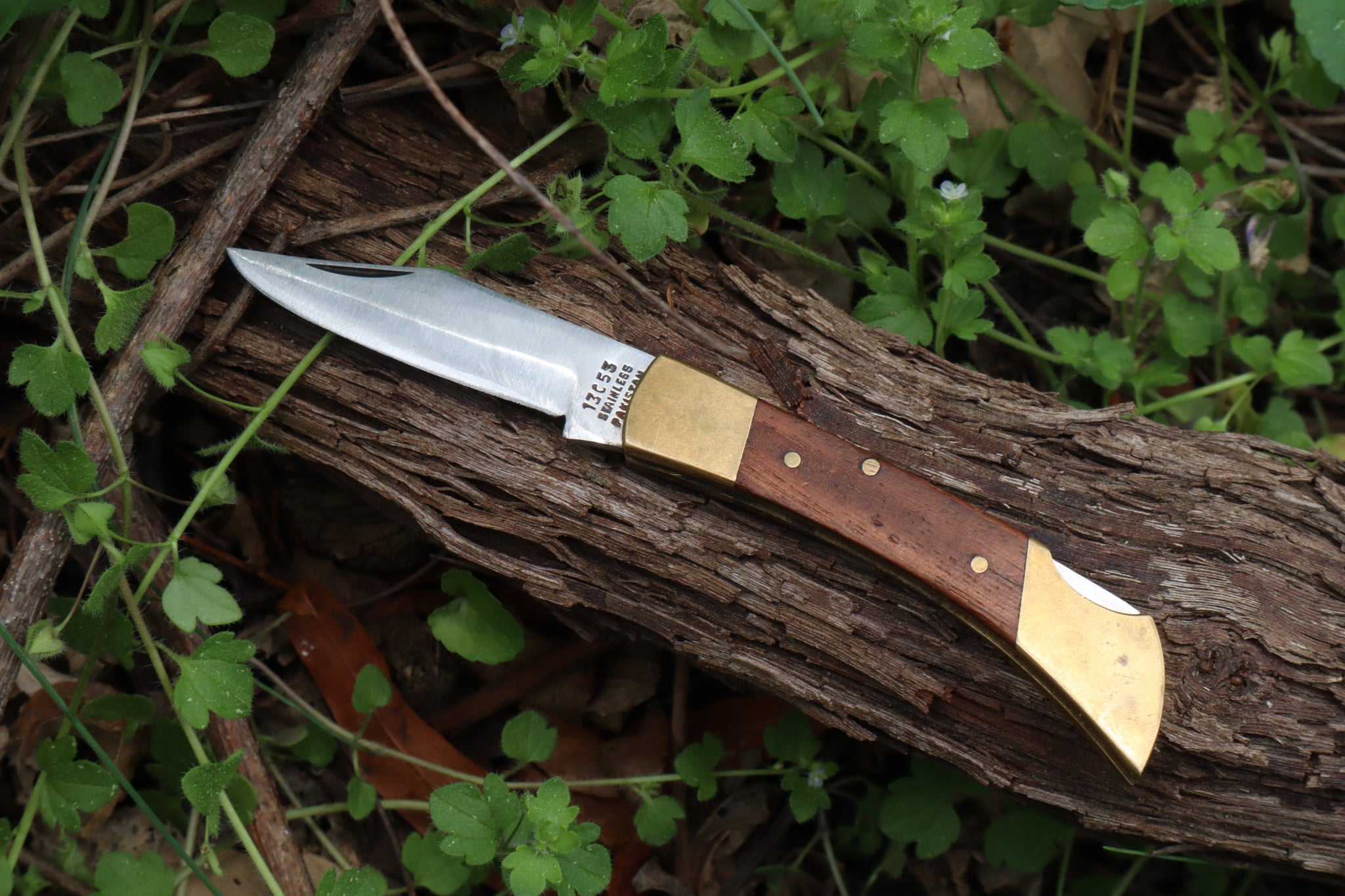 Chaos Monk Folding Knife