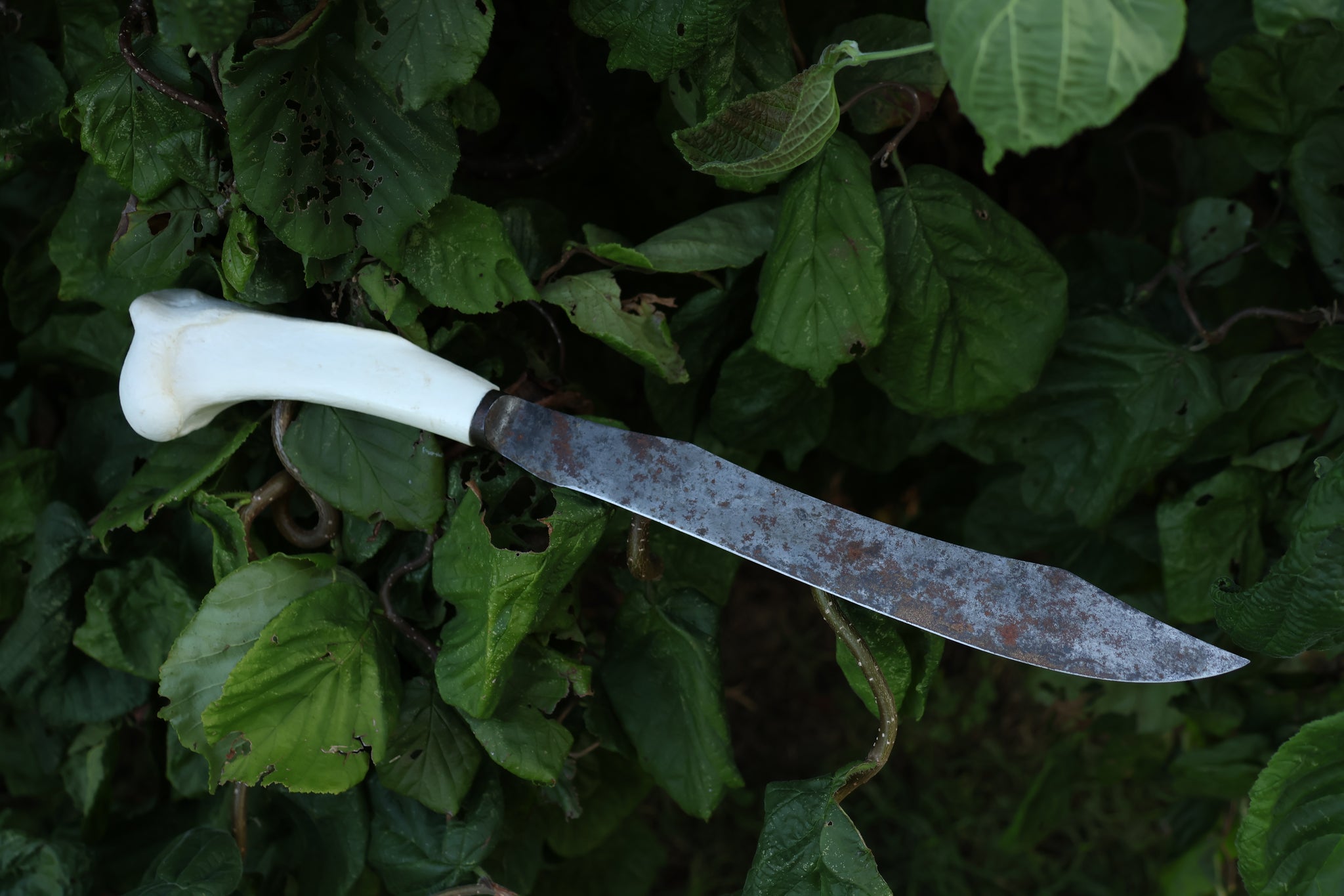 Wolf Bone Knife