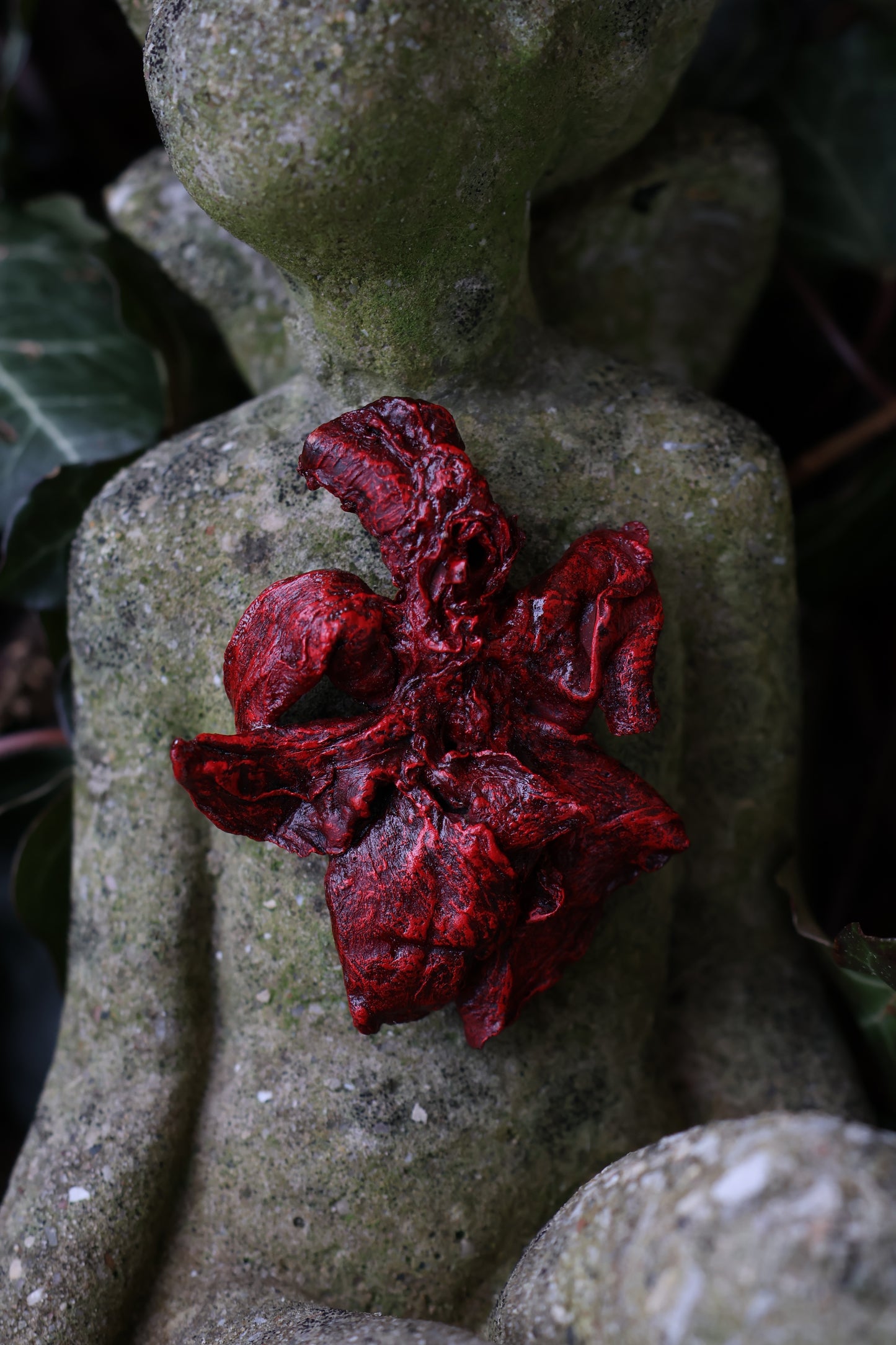 Dry Preserved Kitten Lungs