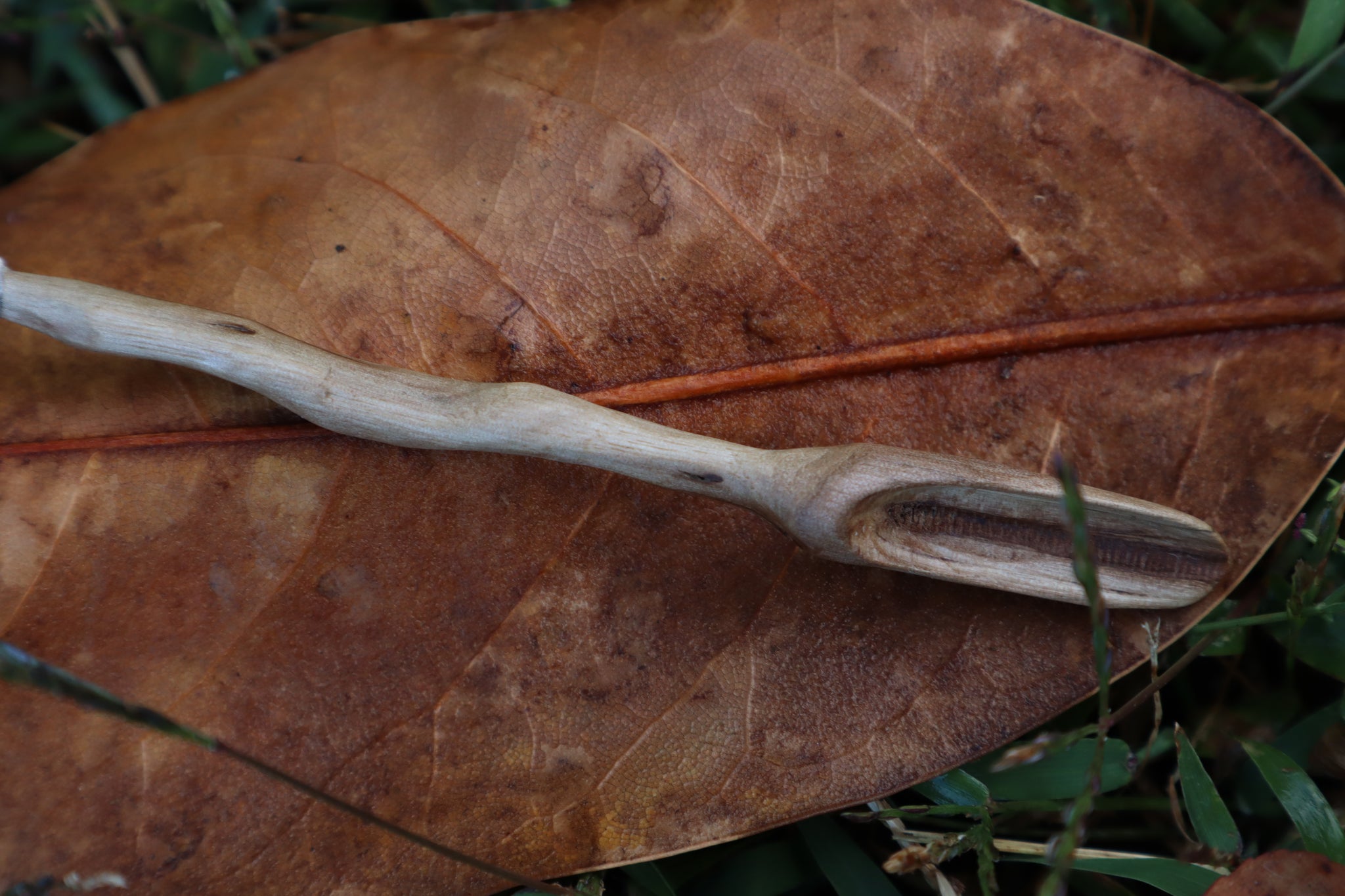 Black Walnut and Pine Marten Femur Offering Spoon