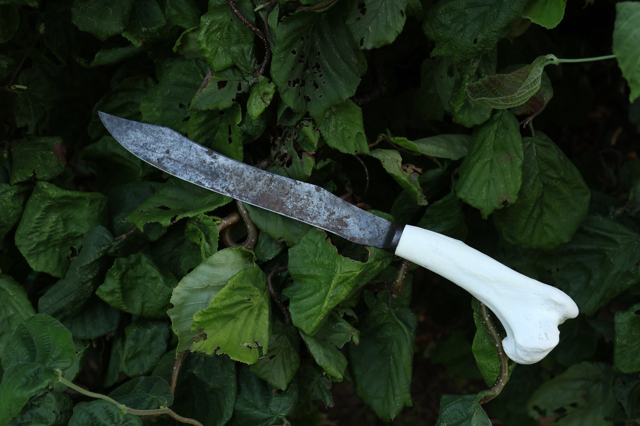 Wolf Bone Knife