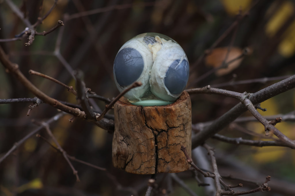 Bobcat Eyeball Crystal Ball