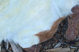 Reserved for Sammy - Boer Goat Pelt