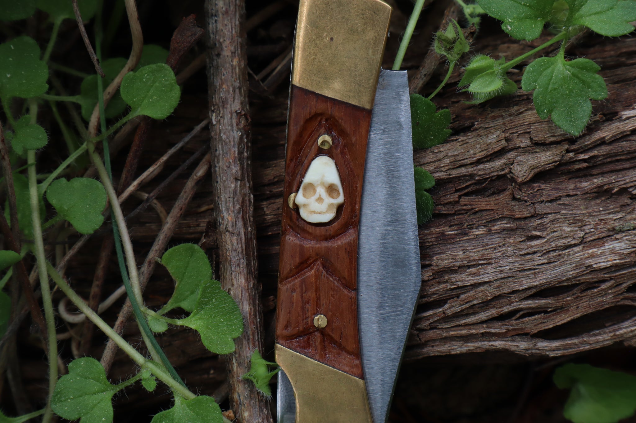 Chaos Monk Folding Knife
