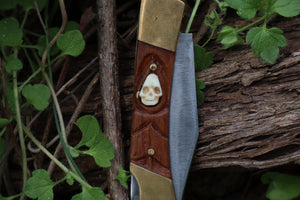 Chaos Monk Folding Knife