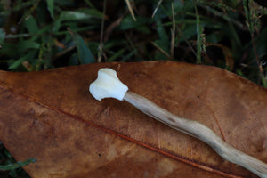 Black Walnut and Pine Marten Femur Offering Spoon