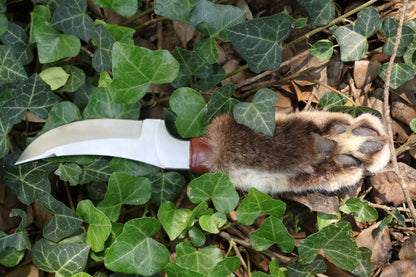 Bobcat Paw Knife