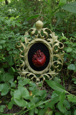 Dry Preserved Coyote Heart