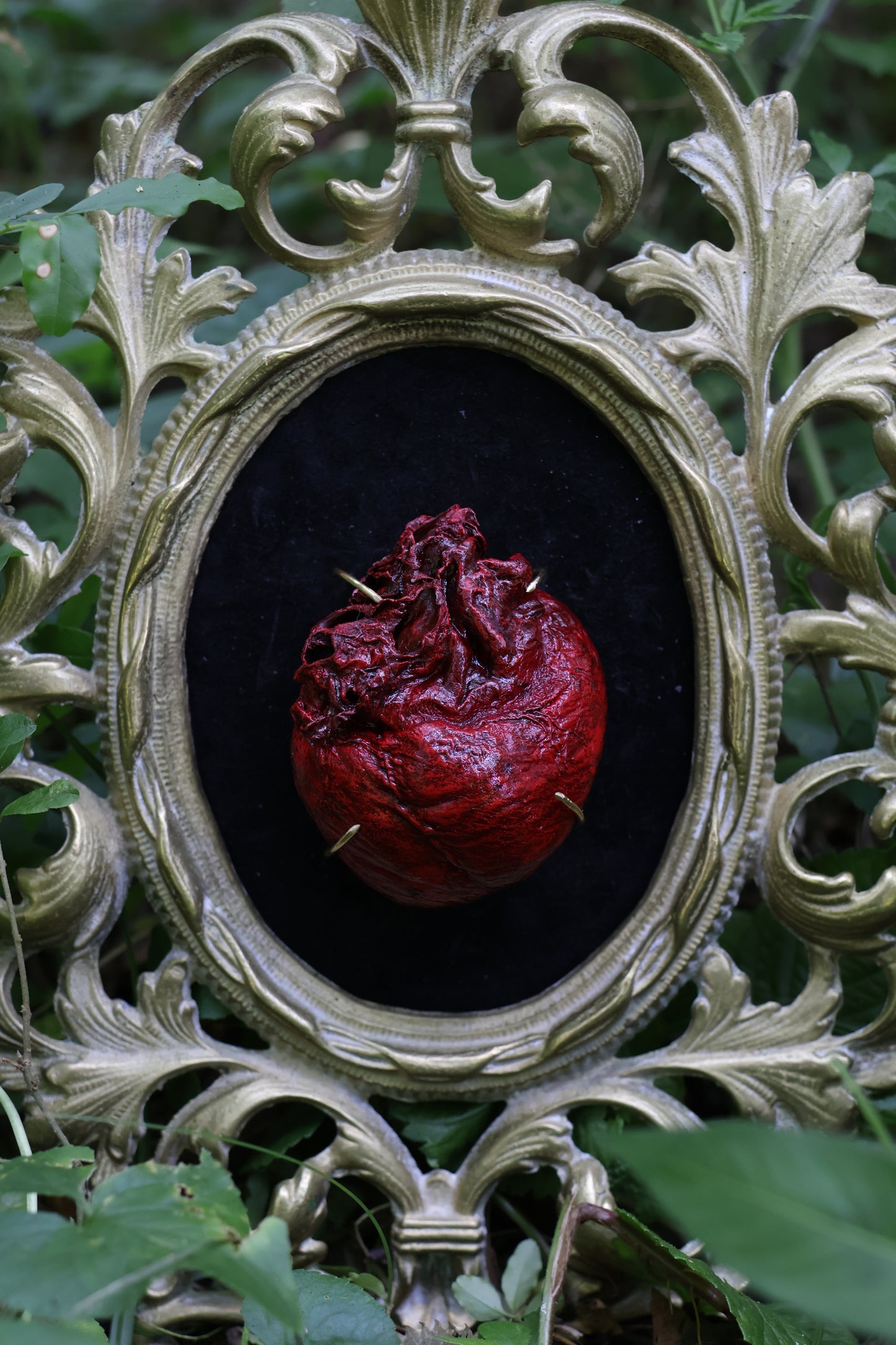 Dry Preserved Coyote Heart