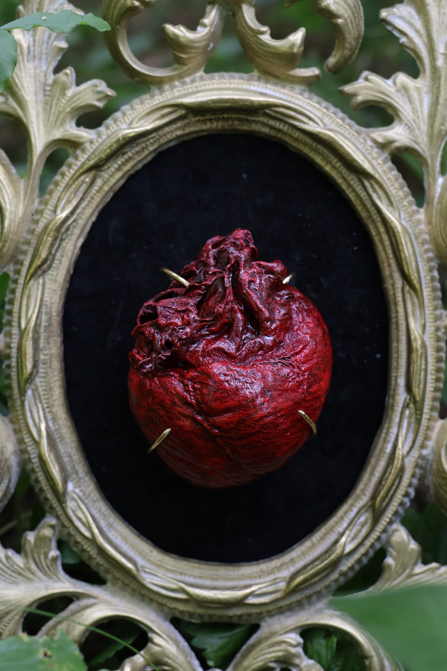 Dry Preserved Coyote Heart