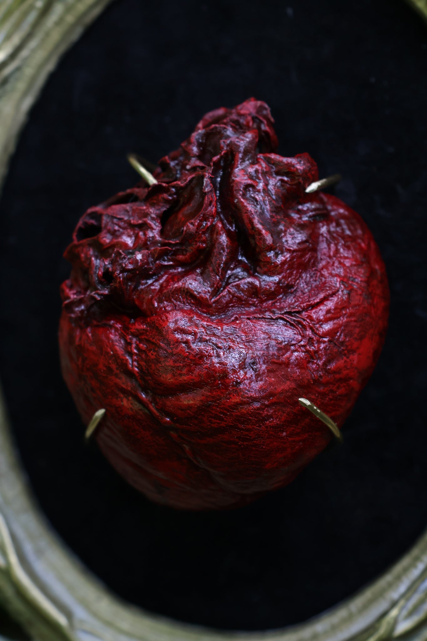 Dry Preserved Coyote Heart