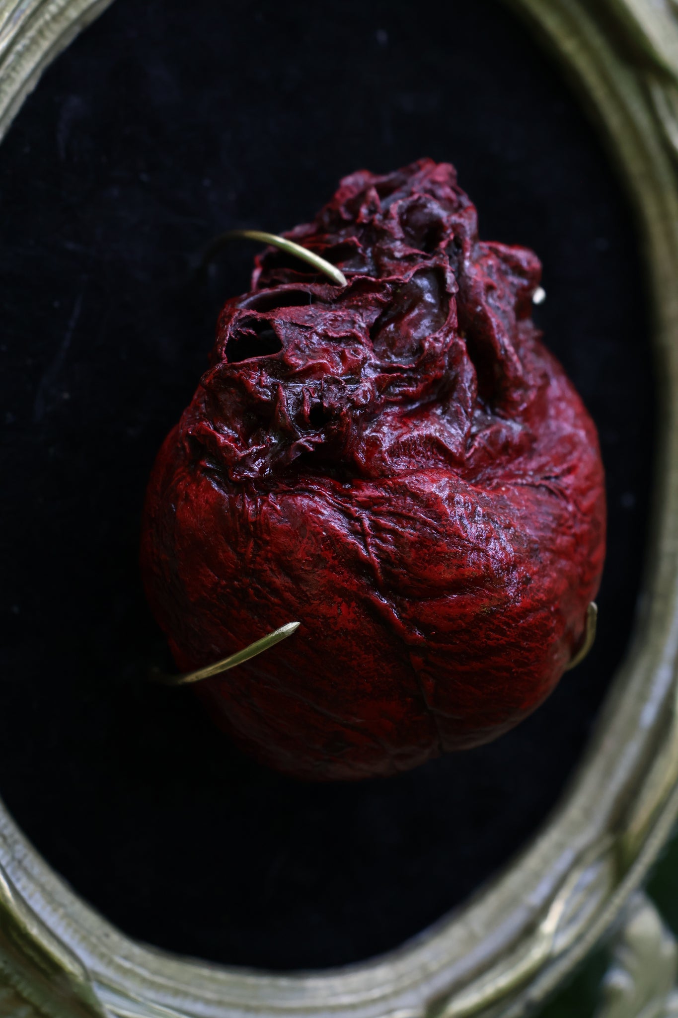 Dry Preserved Coyote Heart