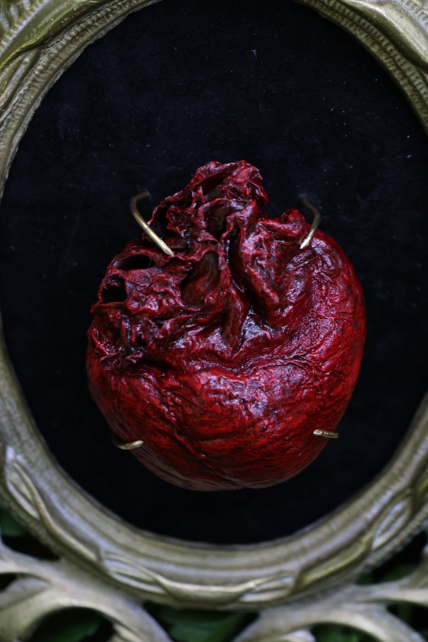 Dry Preserved Coyote Heart