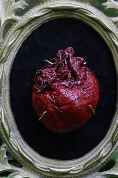 Dry Preserved Coyote Heart