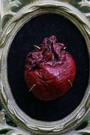 Dry Preserved Coyote Heart