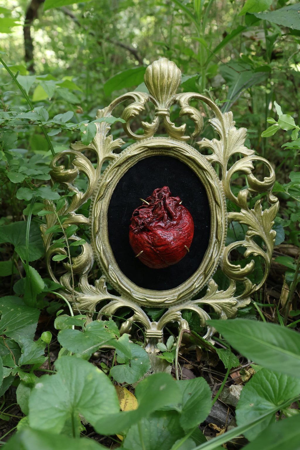 Dry Preserved Coyote Heart