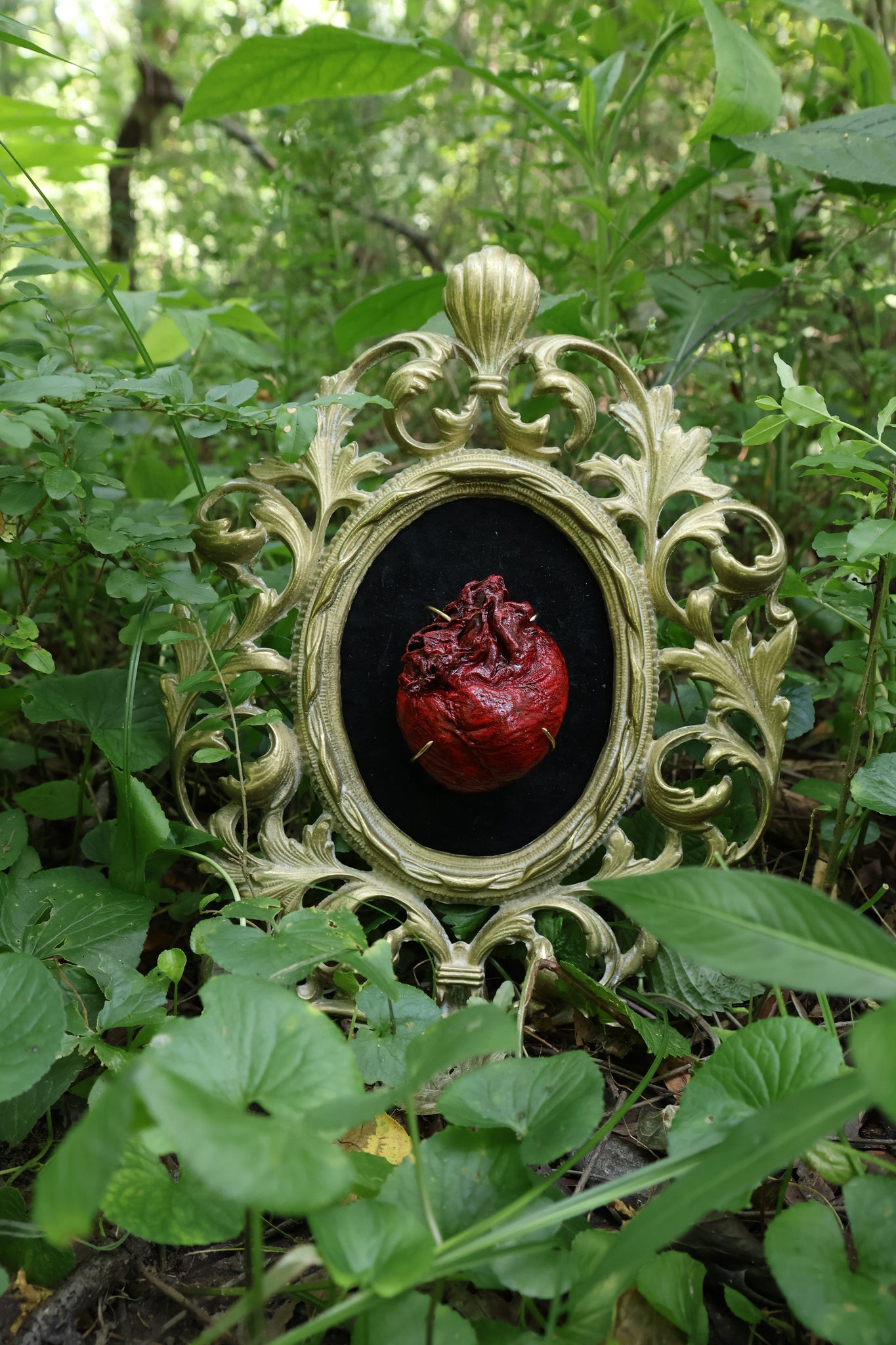 Dry Preserved Coyote Heart