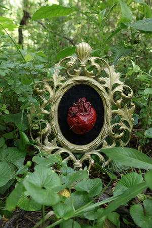Dry Preserved Coyote Heart
