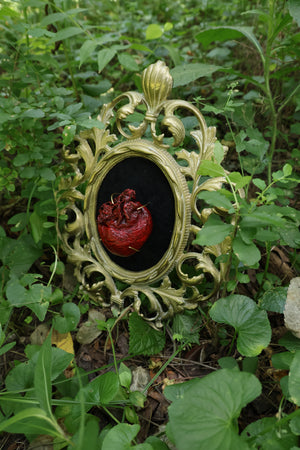 Dry Preserved Coyote Heart