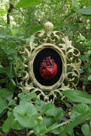 Dry Preserved Coyote Heart