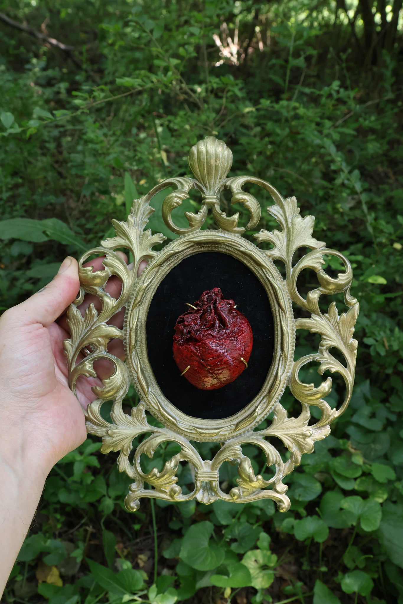Dry Preserved Coyote Heart