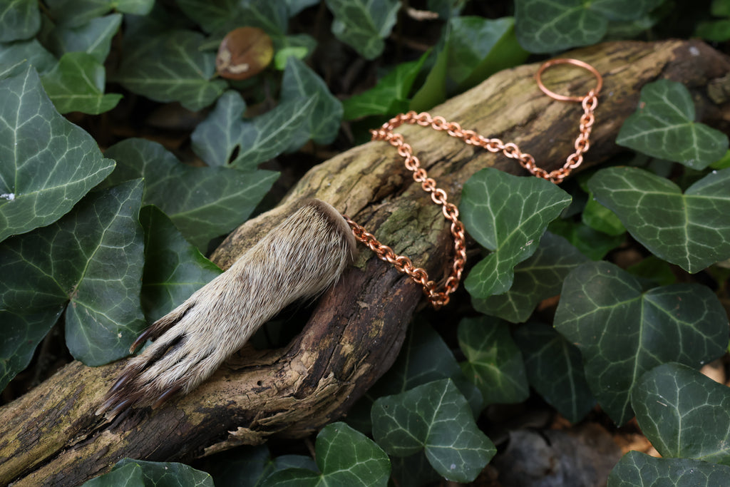 Raccoon Paw Pendulum