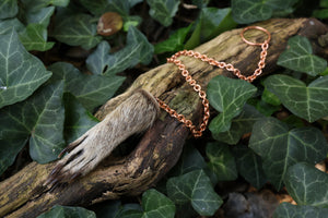 Raccoon Paw Pendulum