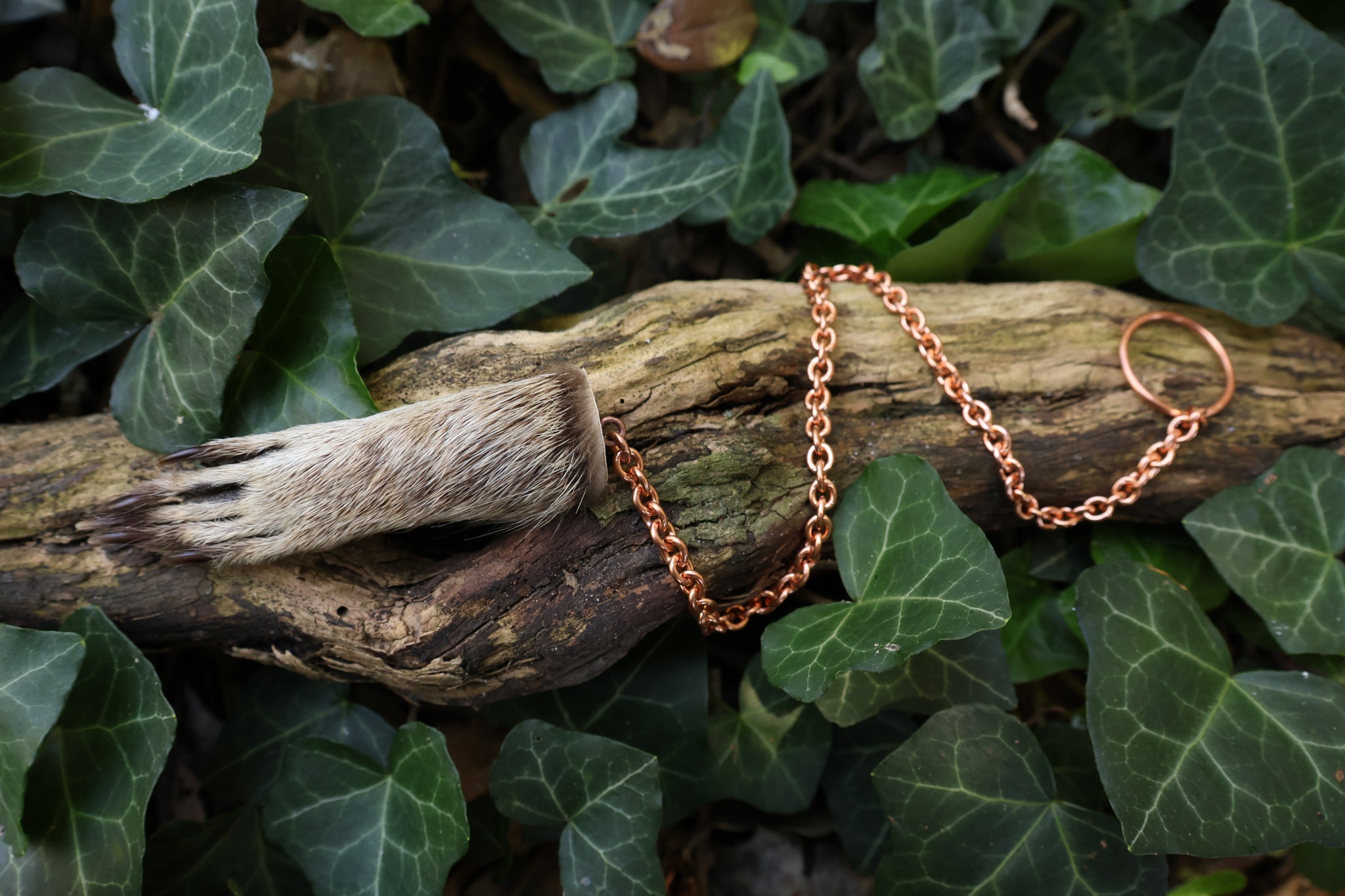 Raccoon Paw Pendulum