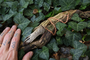 Raccoon Paw Pendulum