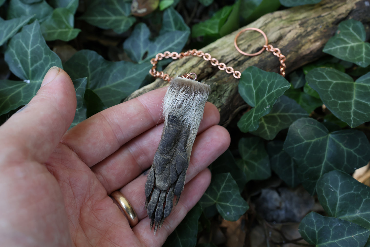 Raccoon Paw Pendulum