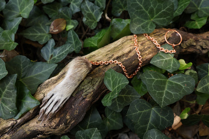 Raccoon Paw Pendulum