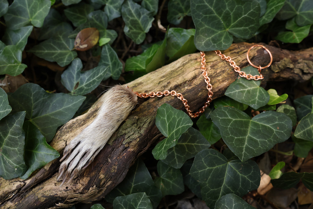 Raccoon Paw Pendulum