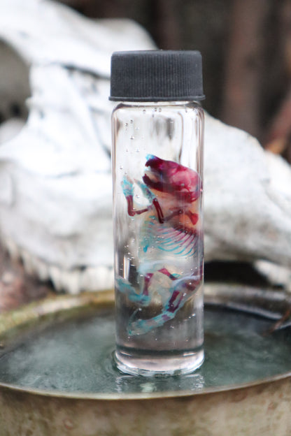 Pathological Diaphonized Baby Mouse