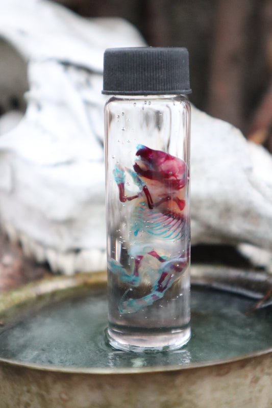 Pathological Diaphonized Baby Mouse