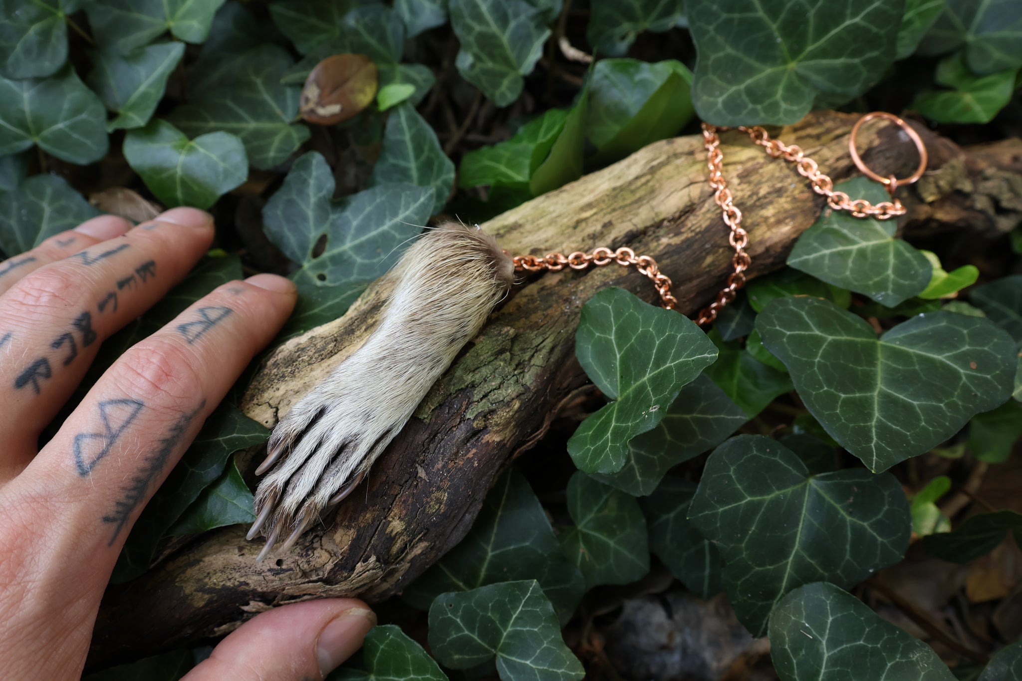 Raccoon Paw Pendulum