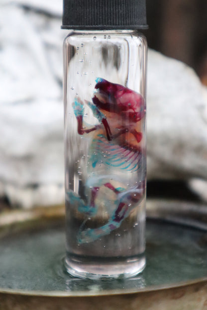 Pathological Diaphonized Baby Mouse