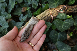Raccoon Paw Pendulum