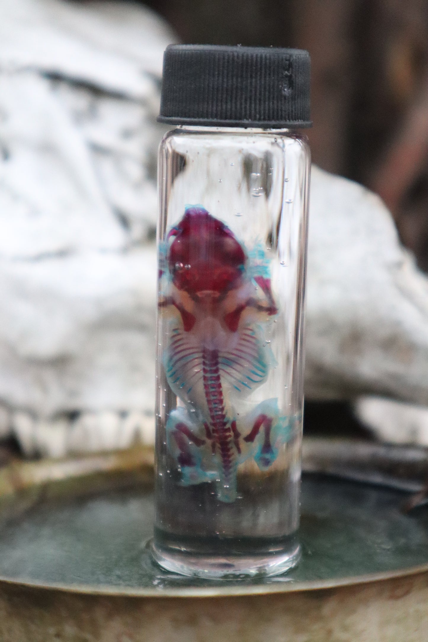 Pathological Diaphonized Baby Mouse