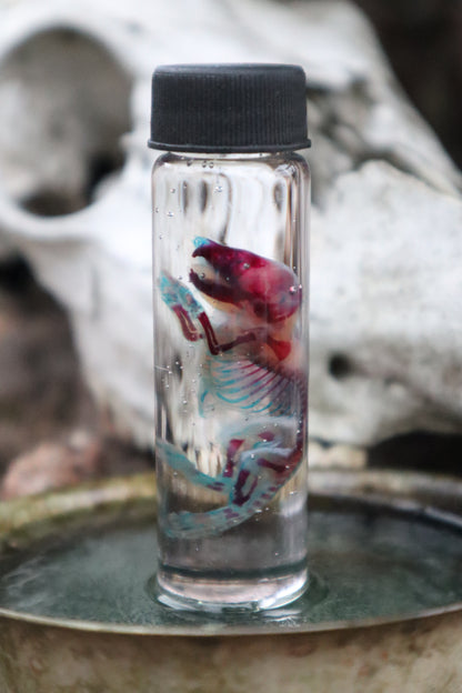 Pathological Diaphonized Baby Mouse