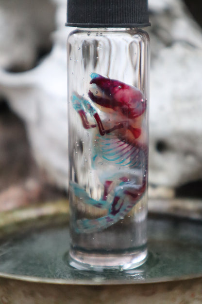 Pathological Diaphonized Baby Mouse