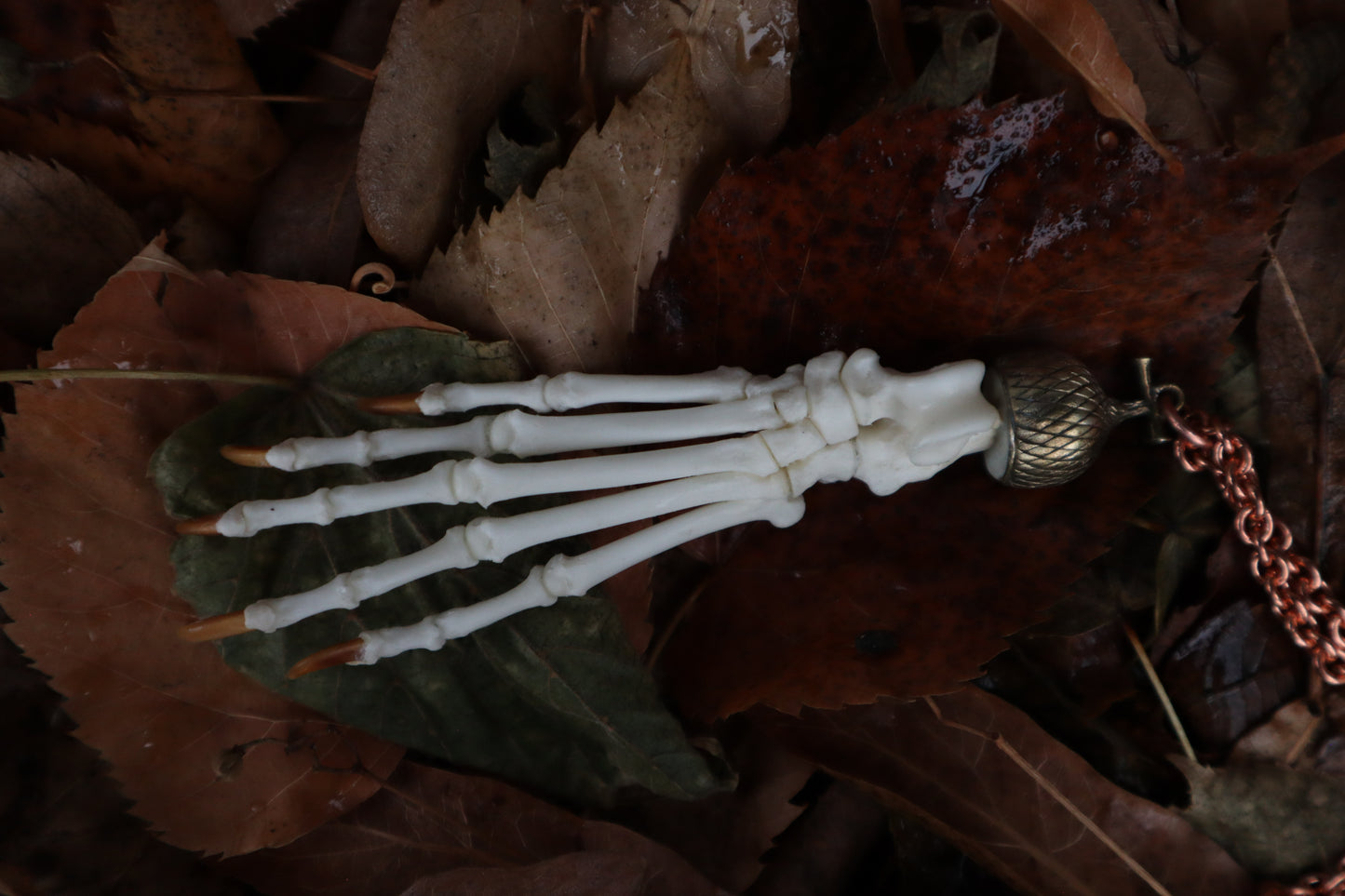 Raccoon Paw Charm
