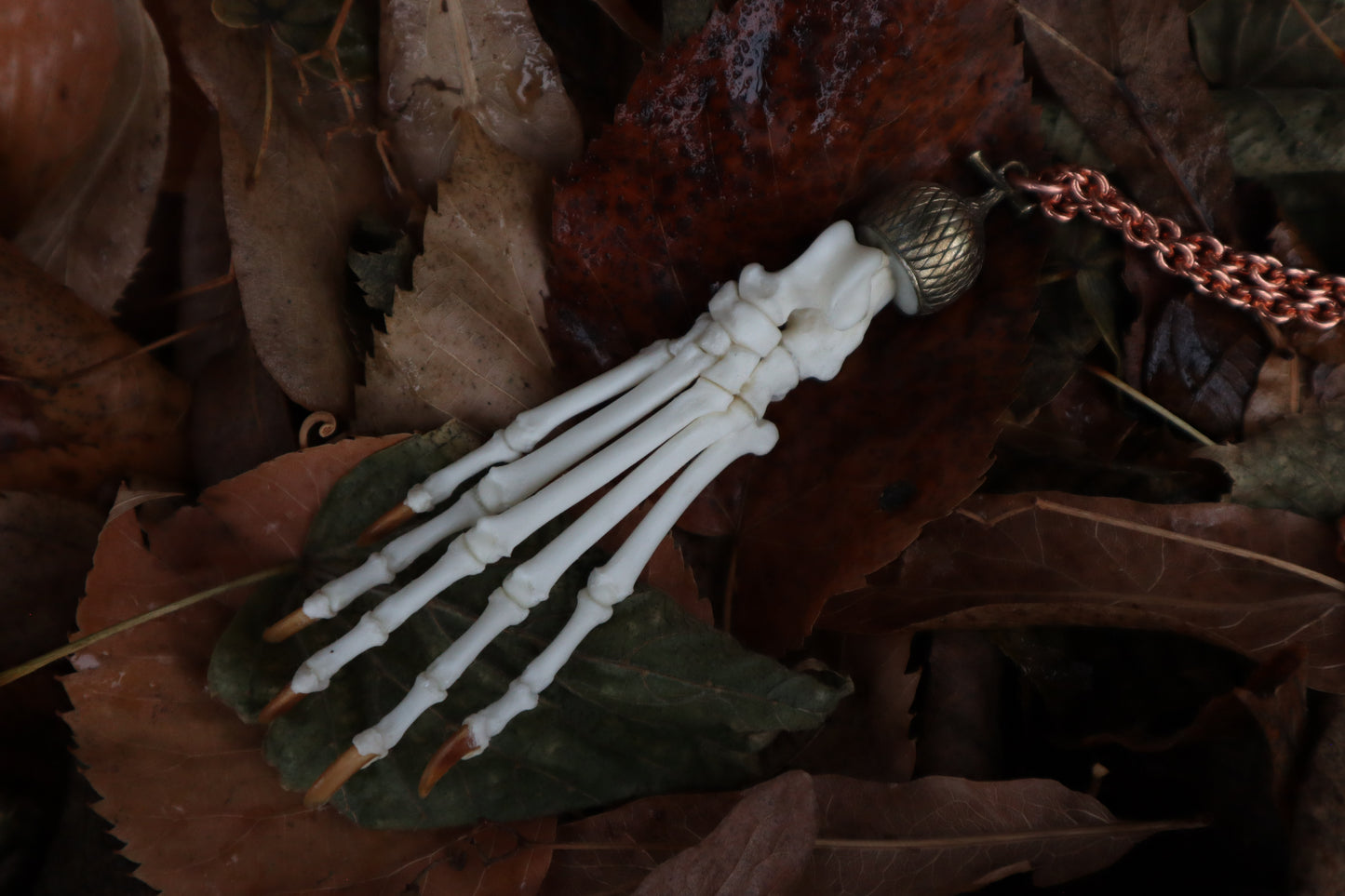 Raccoon Paw Charm