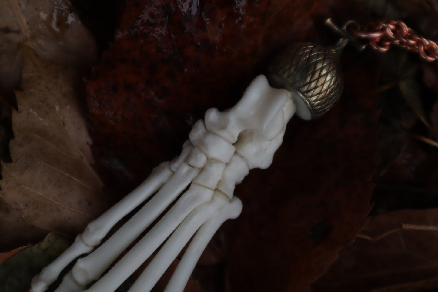 Raccoon Paw Charm