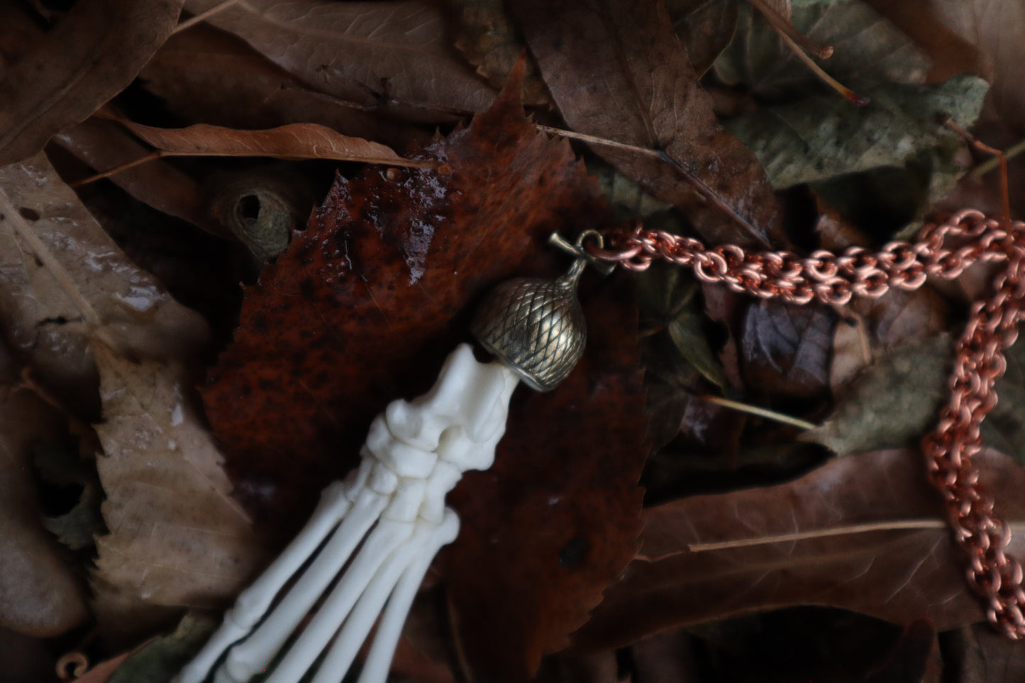 Raccoon Paw Charm