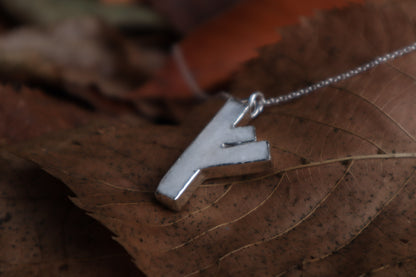 Fehu Wolf Bone and Silver Talisman